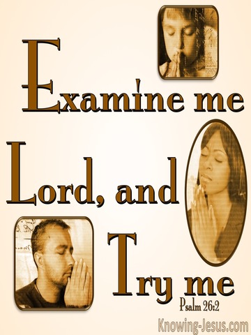 Psalm 26:2 Examine Me, Try Me, Test My Heart And Mind (brown)